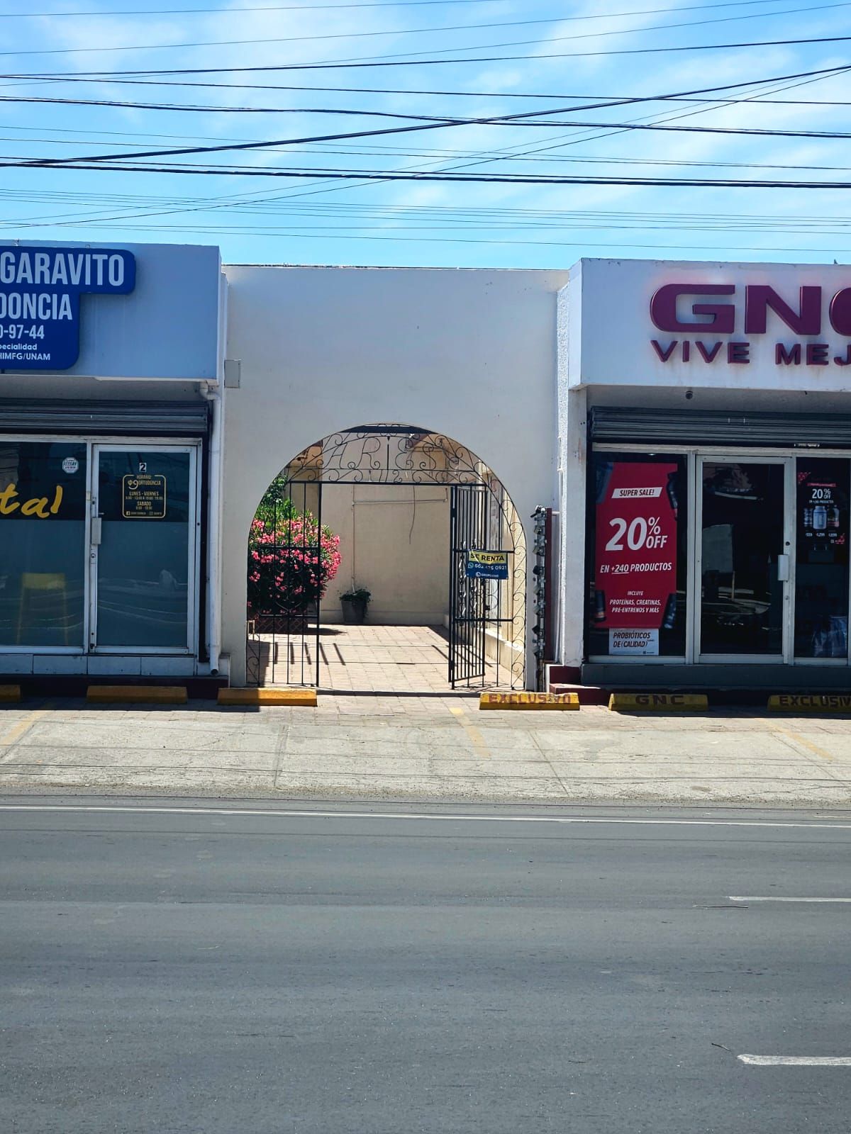 Alma Glenda Hernández Fernández-0