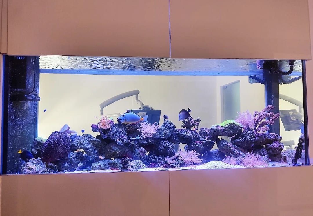 María Fernanda Méndez Domínguez-4