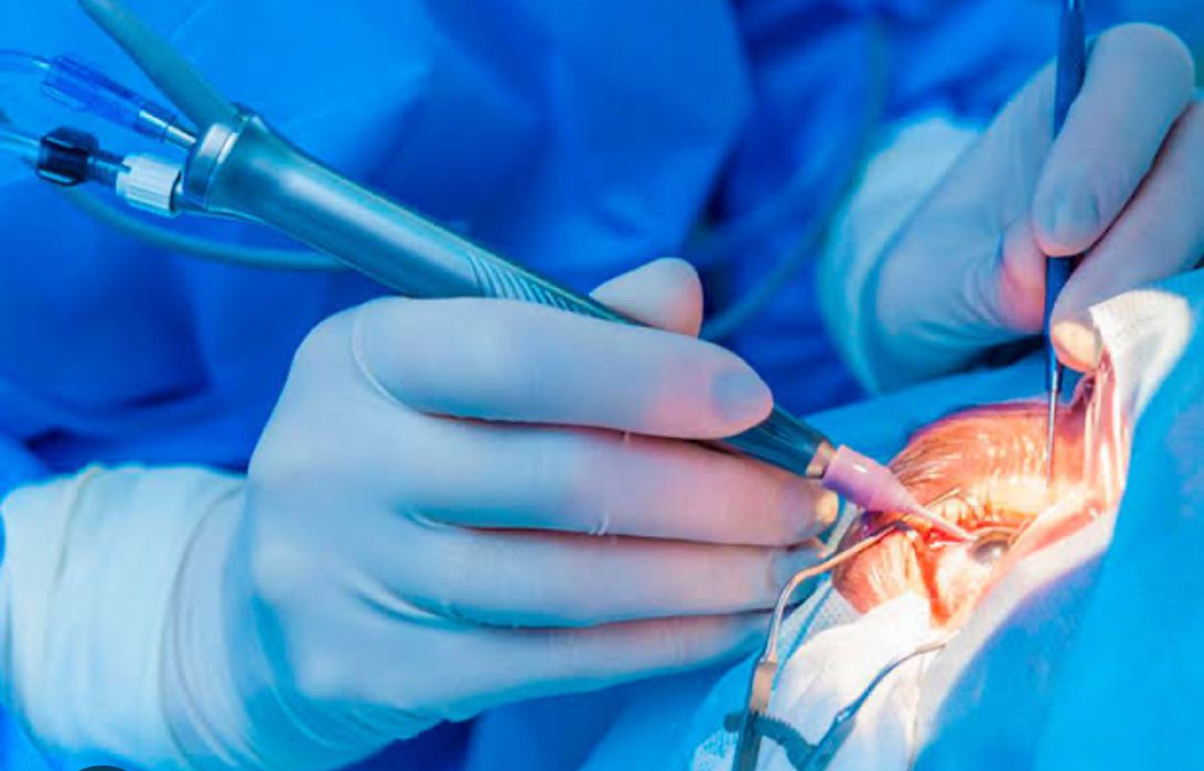 Efren Rodríguez Martínez-0