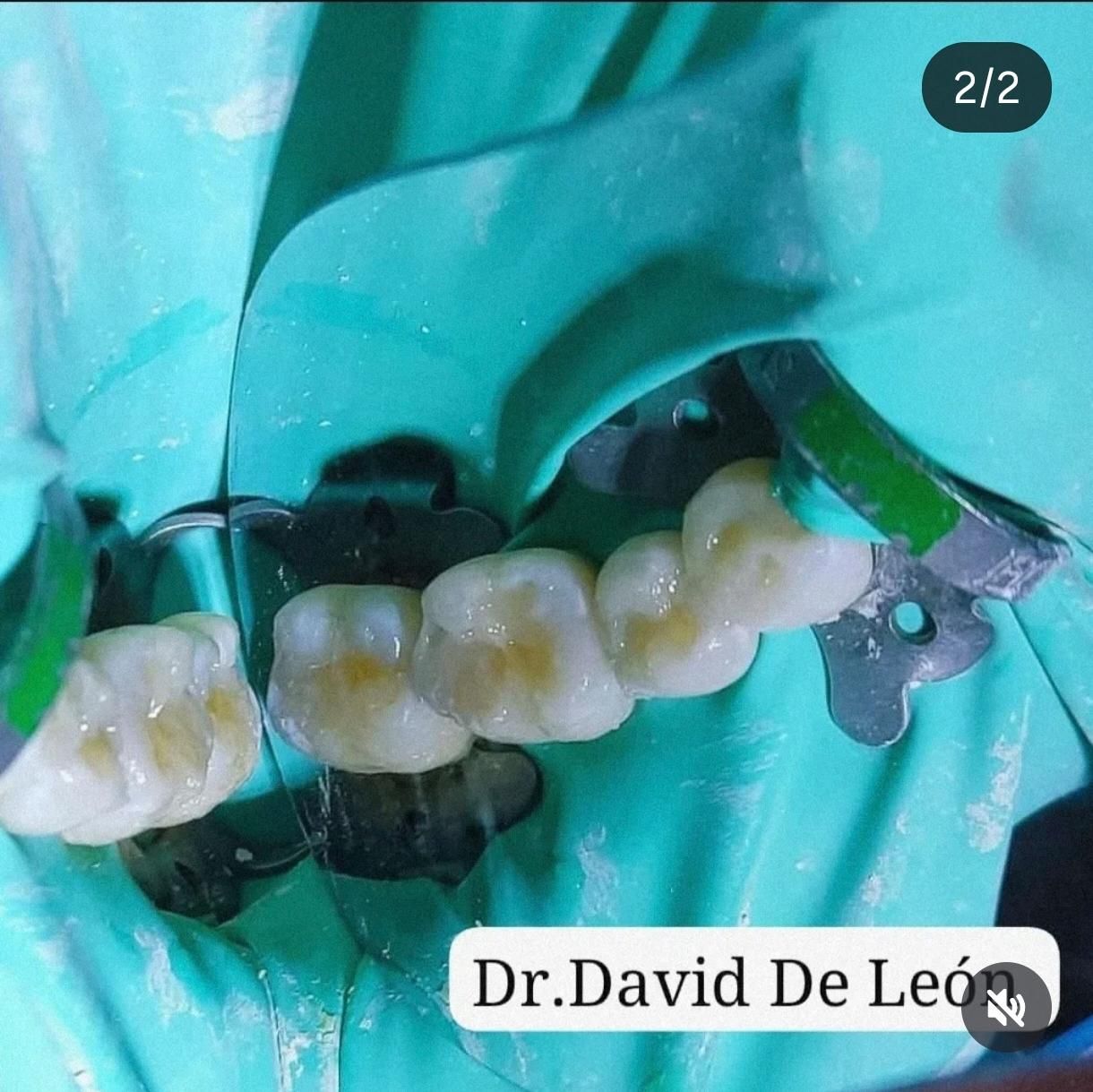 David De León-13