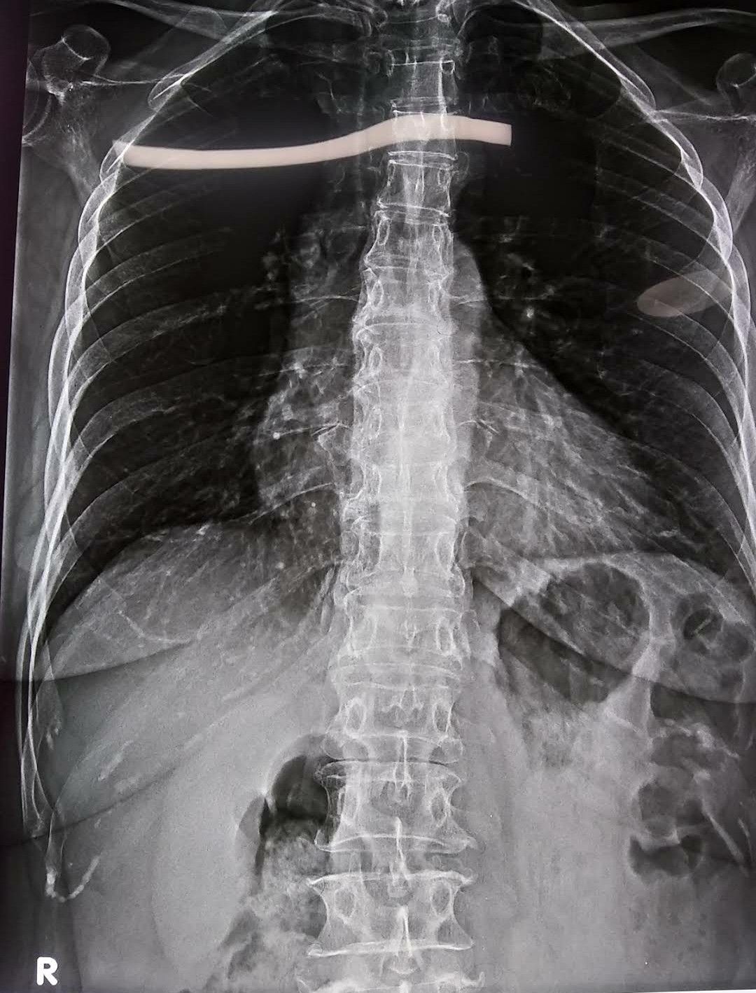 Rodrigo Robles Zavaleta-14