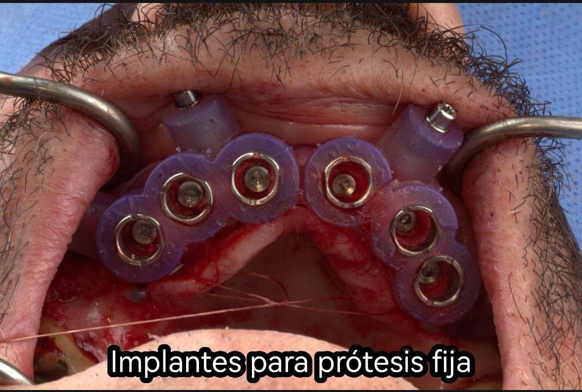 Adriana Ramos Carrillo-21