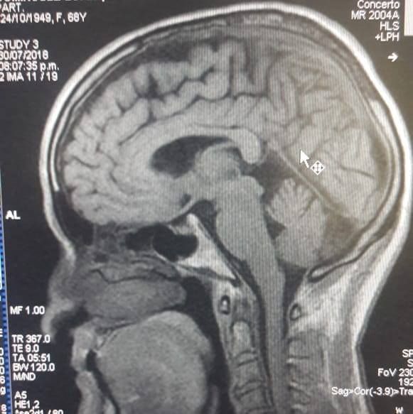 Adrian Estrada Campos-5