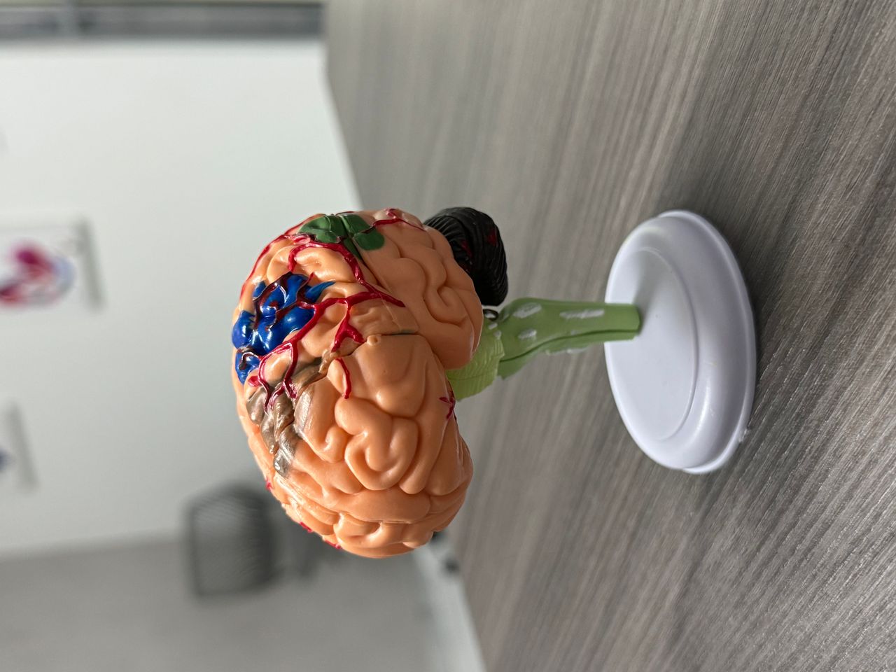 Jaime Alberto Villarreal Lopez-9