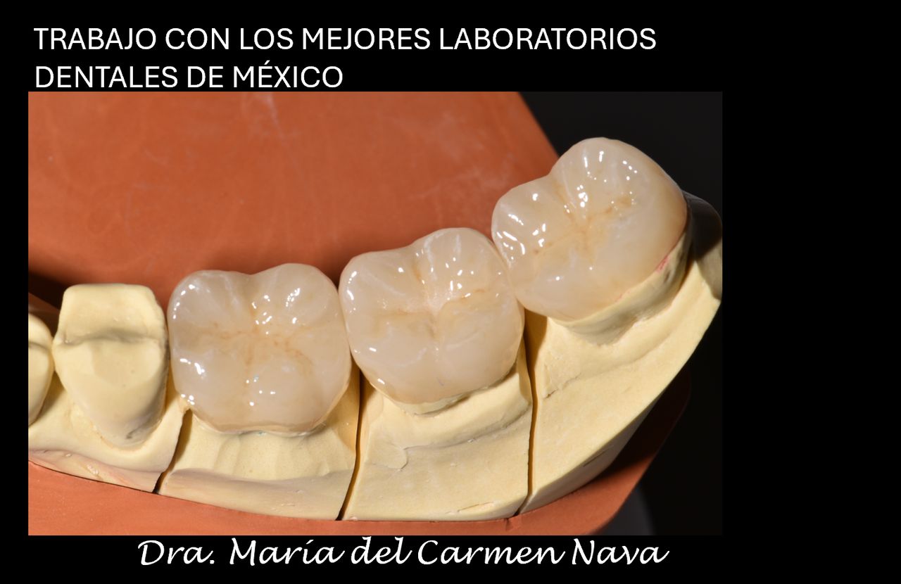 María Del Carmen Nava Jiménez-24