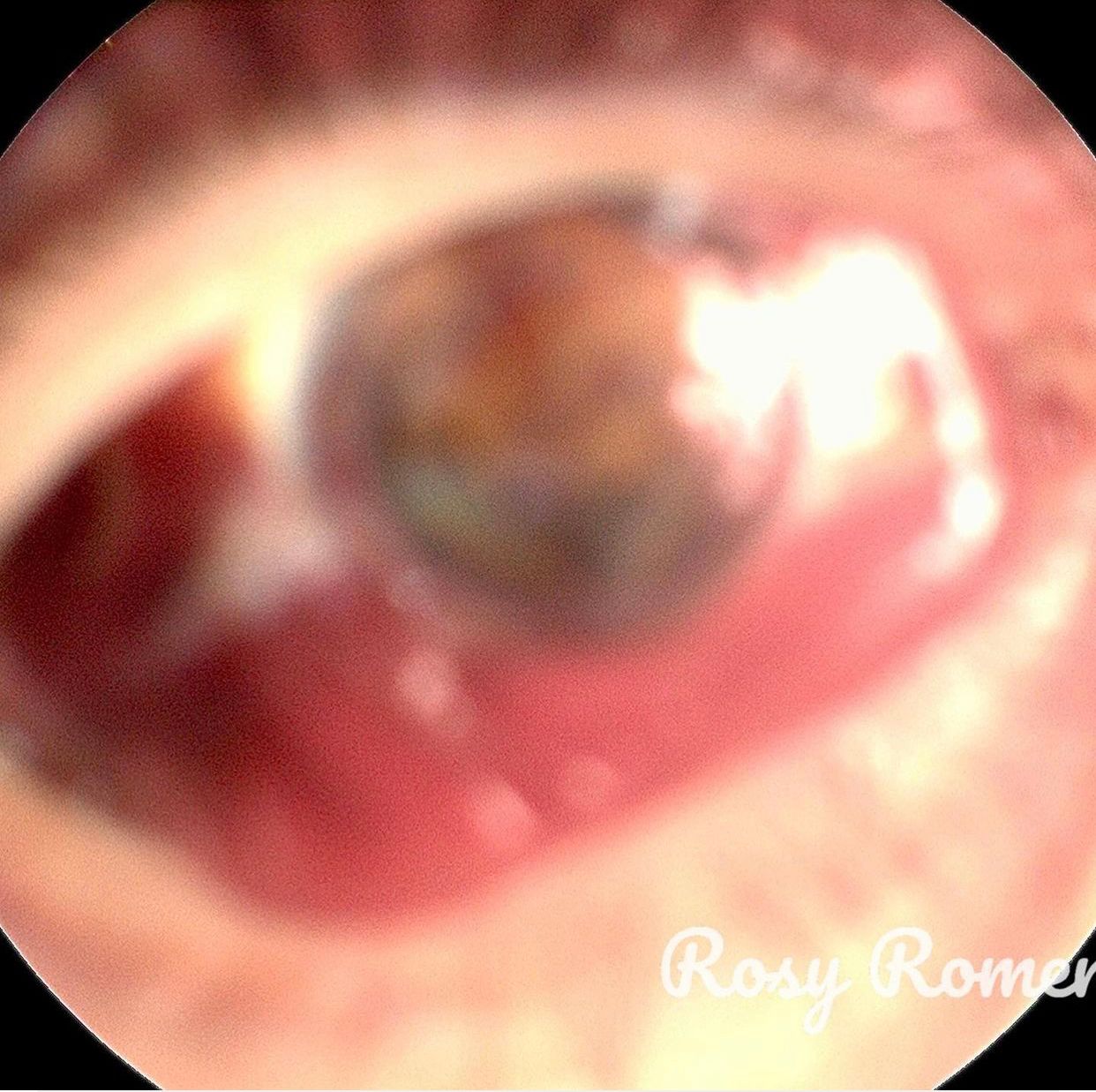 Rosa María Romero Castro-47