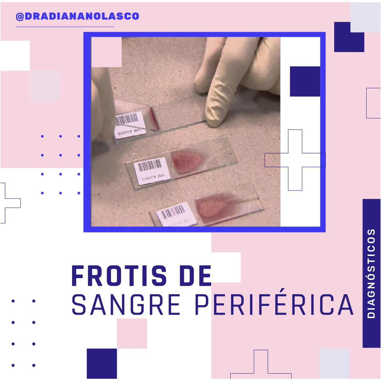 Diana Nolasco Medina-7