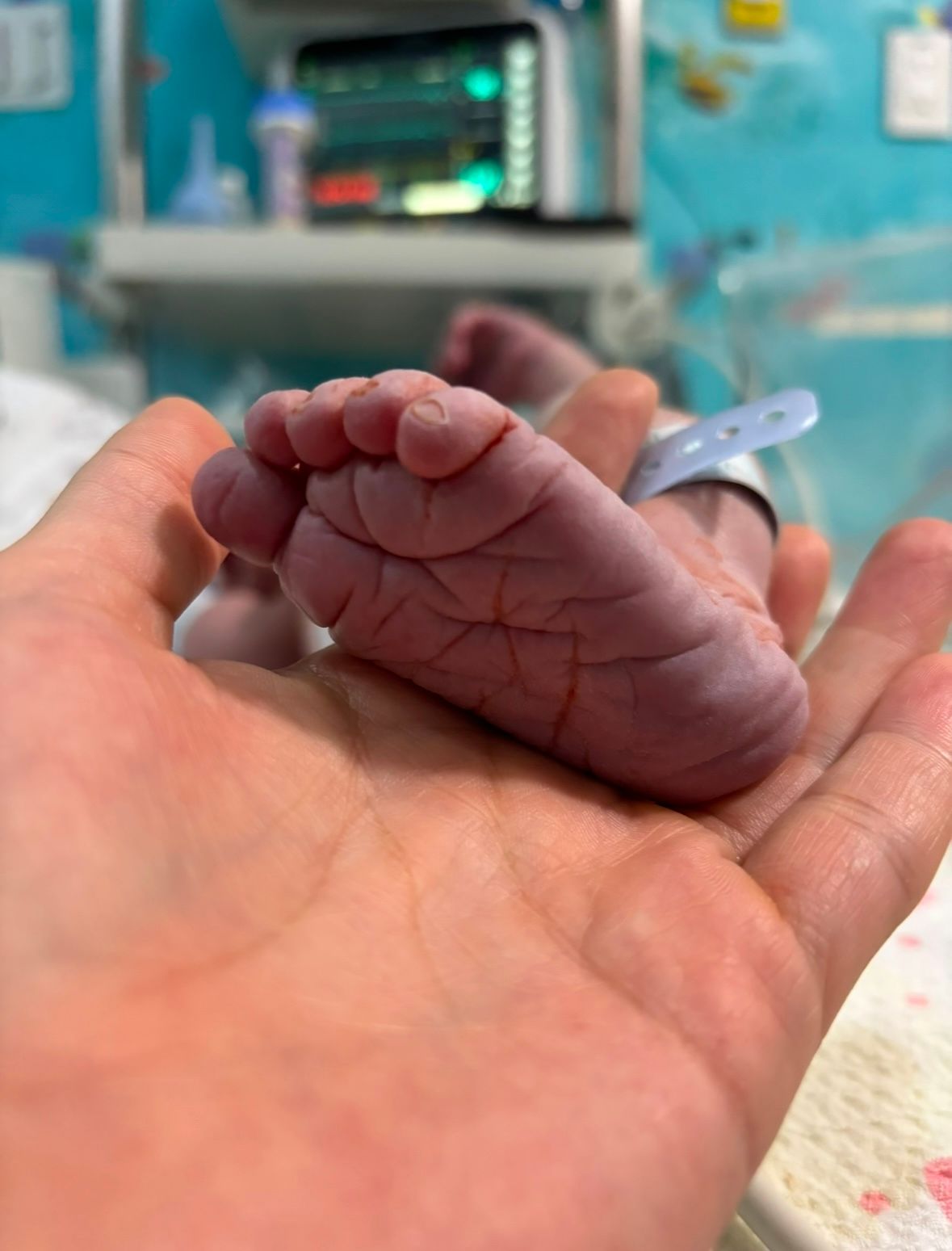 Valeria Gómez Galván-9