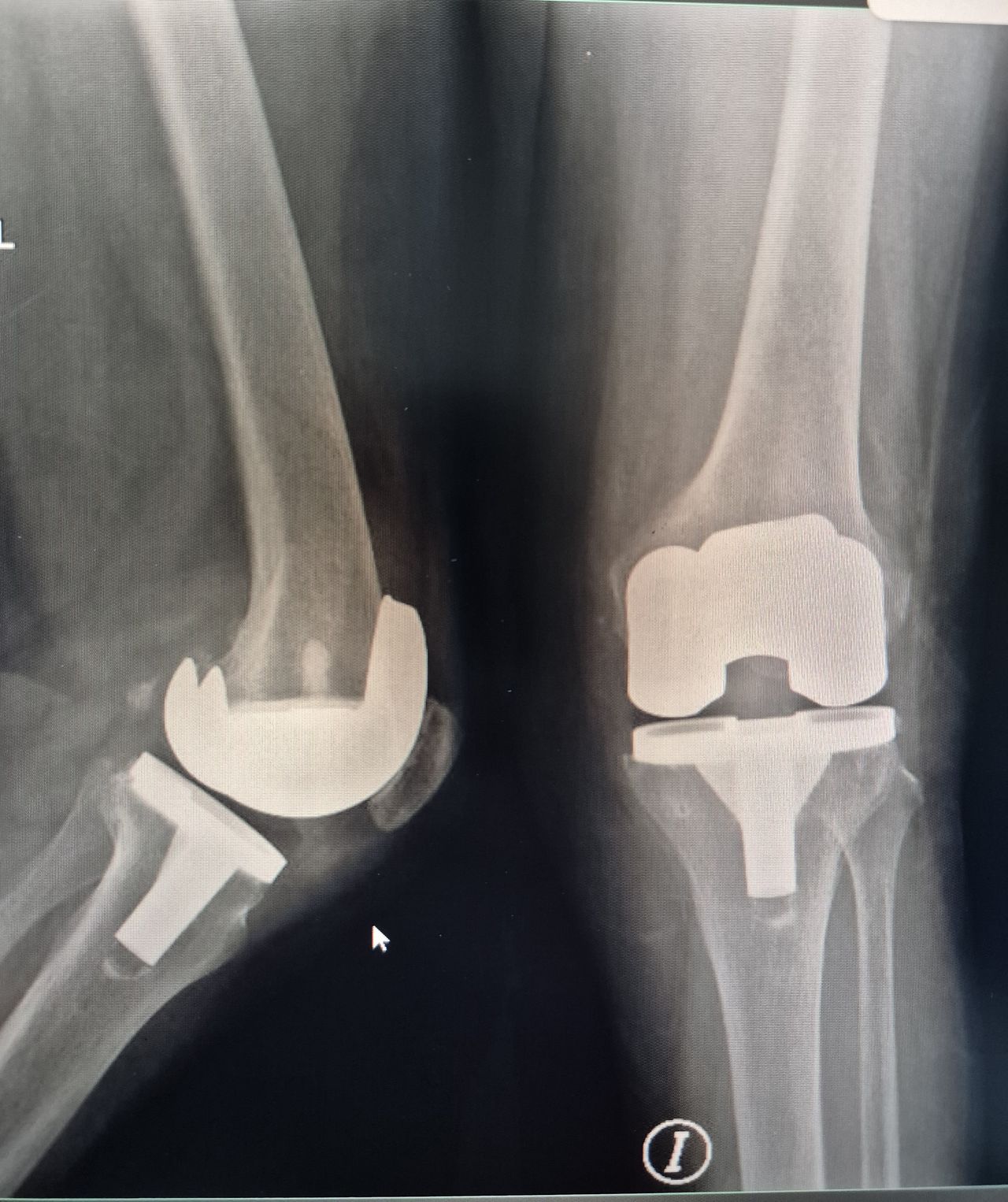 Donovan Cantillo De Lucio-1