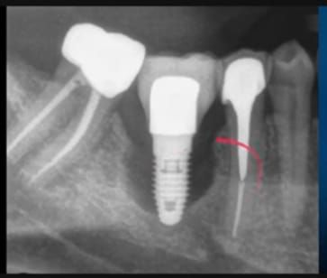 Daniel Jaime Cortés Aceves-4