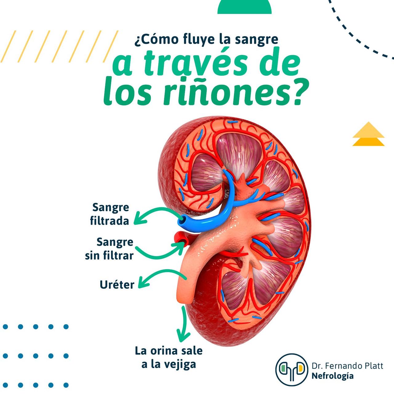 Fernando Platt Soto-3
