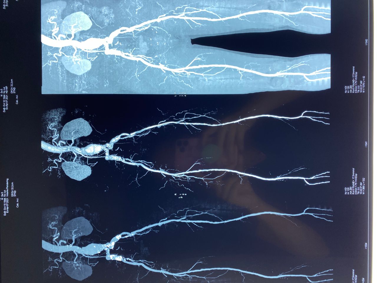 Daniela Oropeza Adame-16