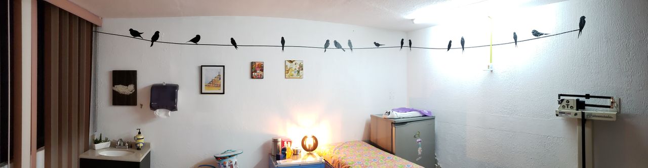 Miguel Ángel Guagnelli Martínez-3