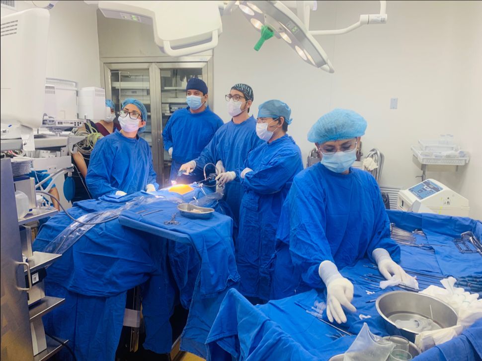 David Fernández Alcaraz-2