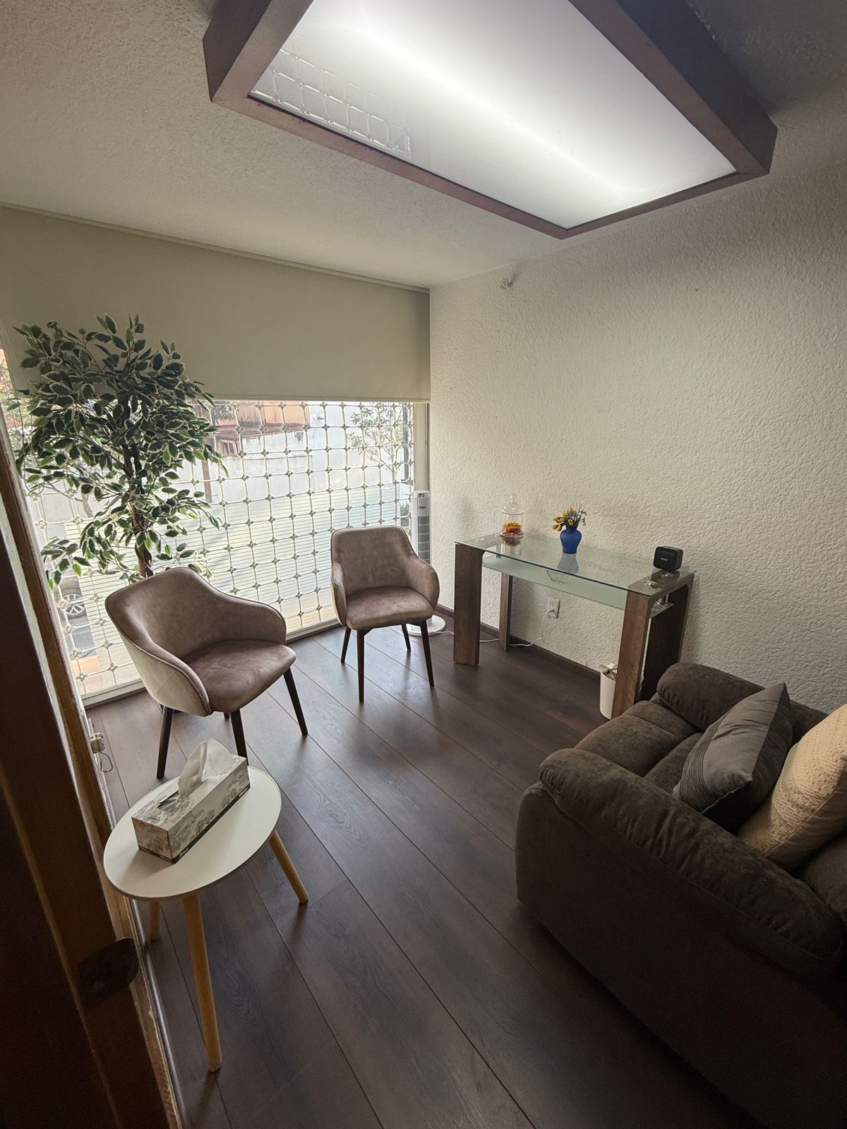 Guadalupe Bautista Perea-0