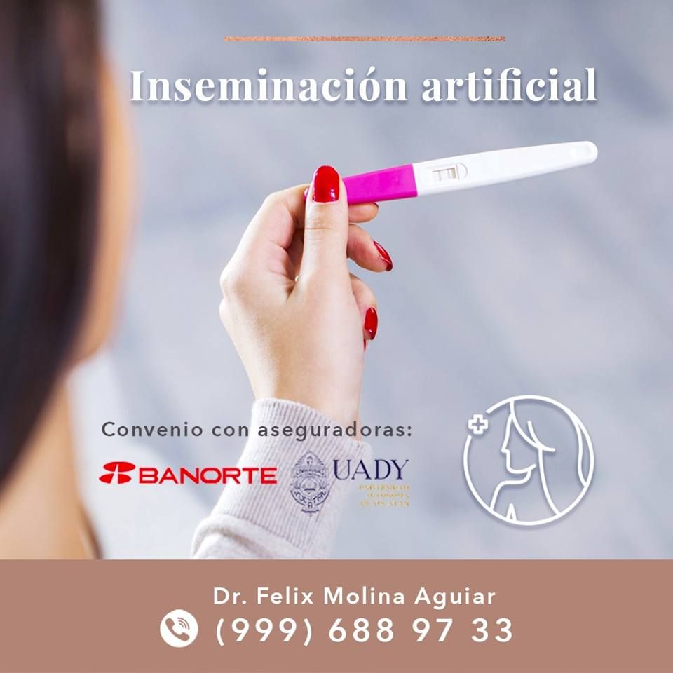 Félix José Molina Aguiar-16