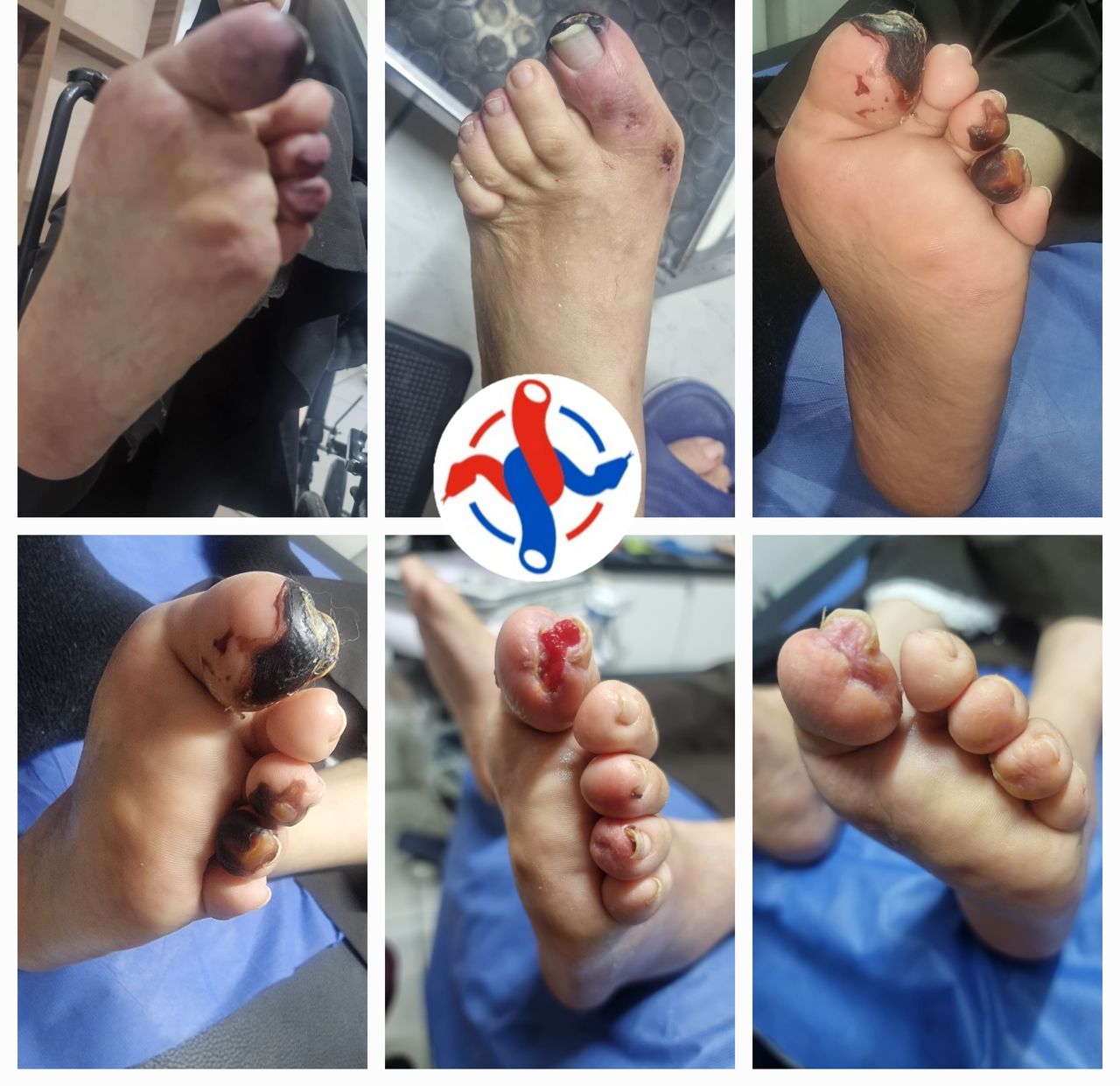 José Reyes Gómez Romo-10