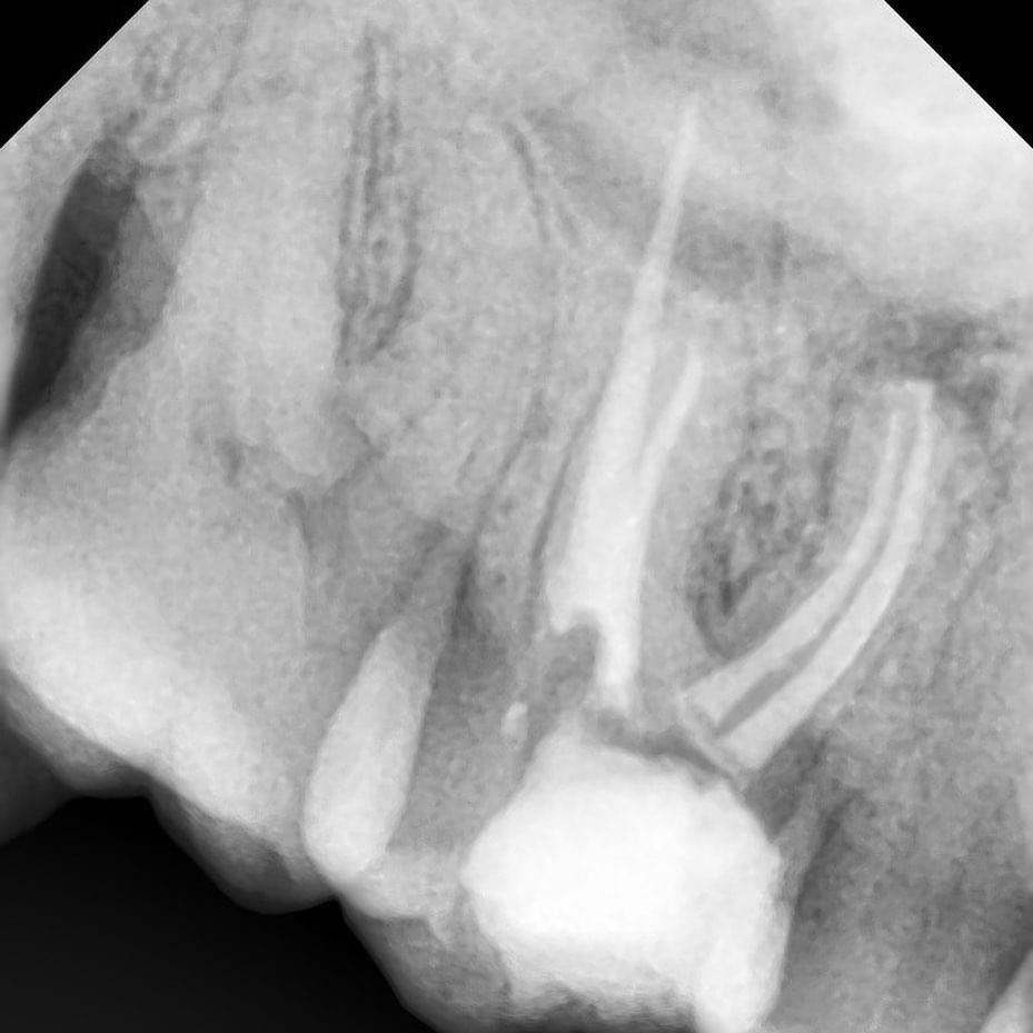 Esmeralda Candida Guerrero Pimentel-22