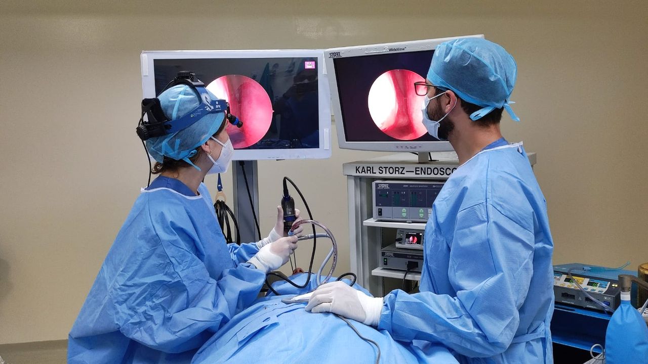 Amalia González Larios-3