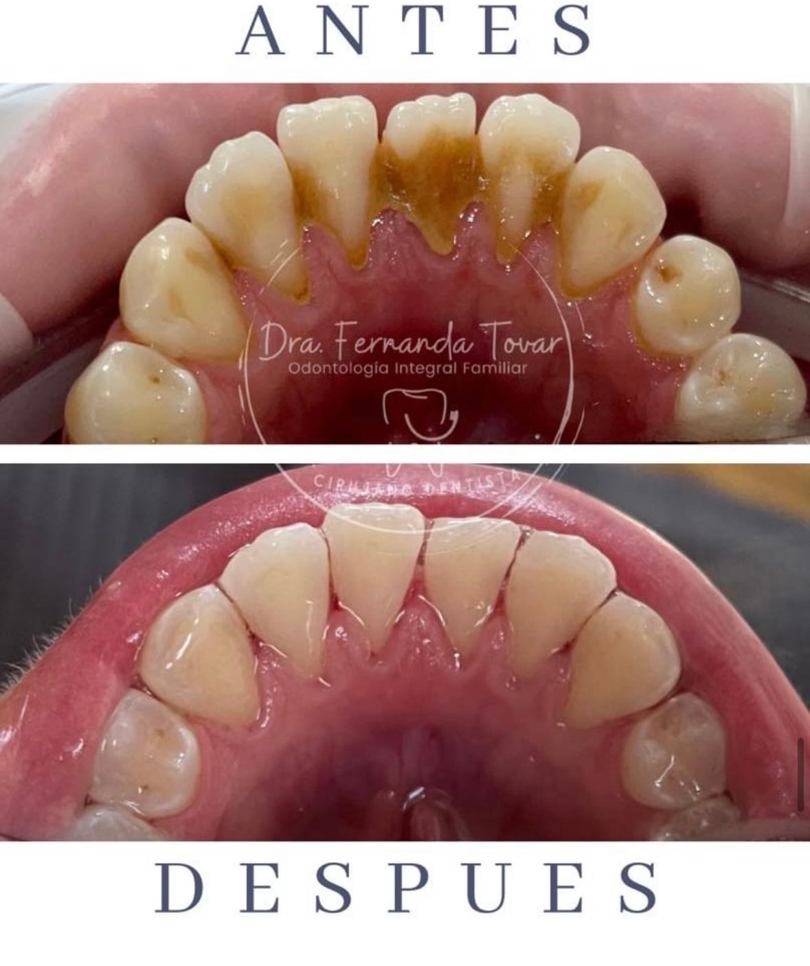 Fernanda Tovar Navarro-9