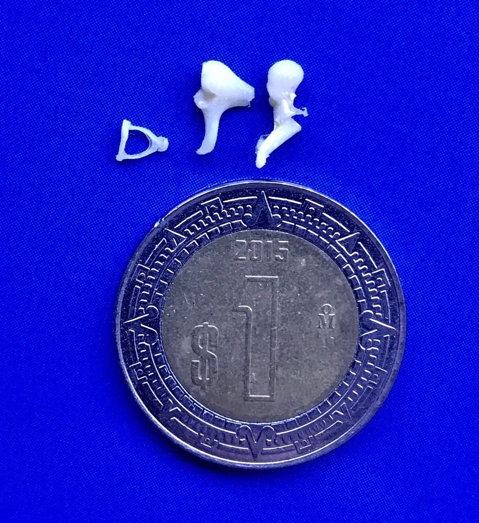 A. Iván Chávez Anaya-0