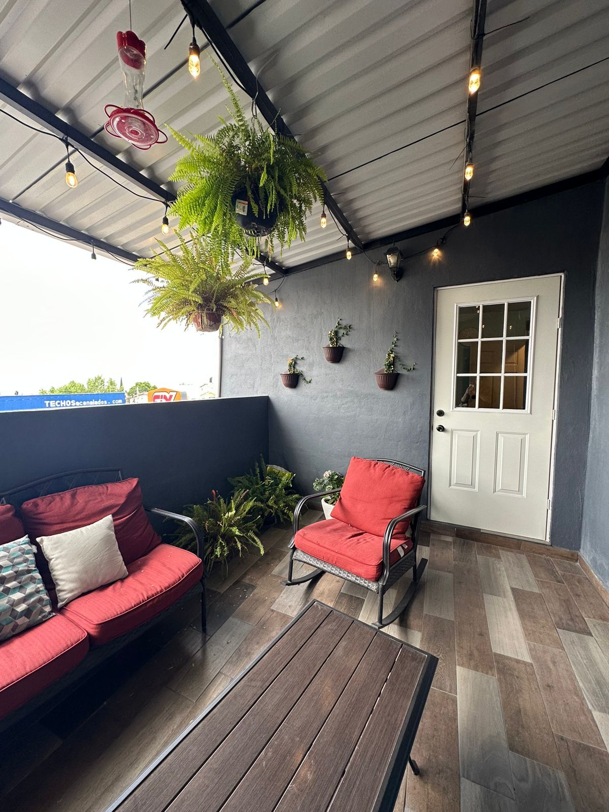 Fernando Pelaez Castañeda-17