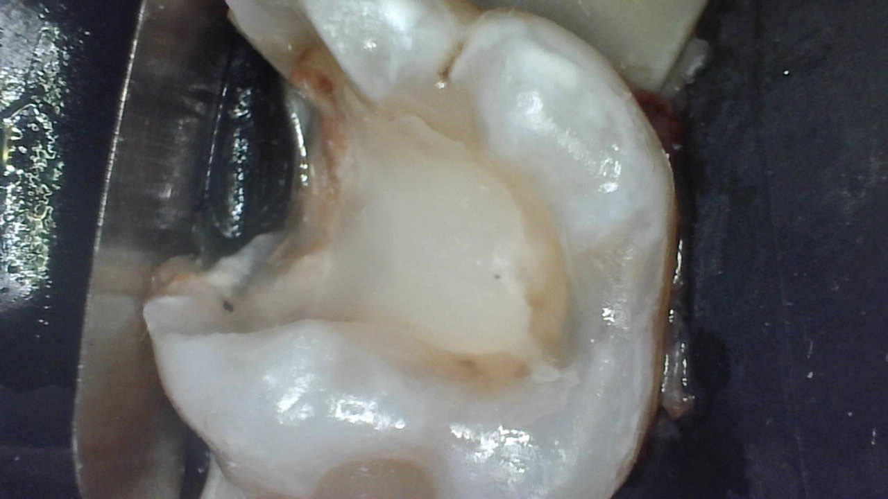 Yaneth Gutiérrez Sánchez-21