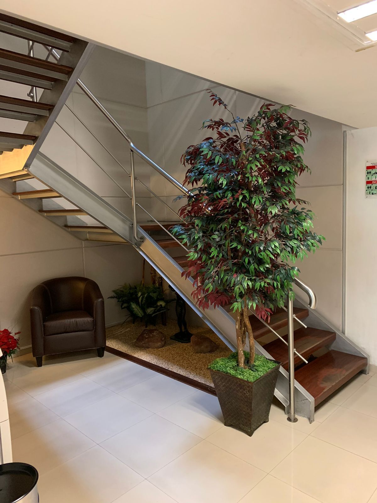 Talía Medina Martínez-2