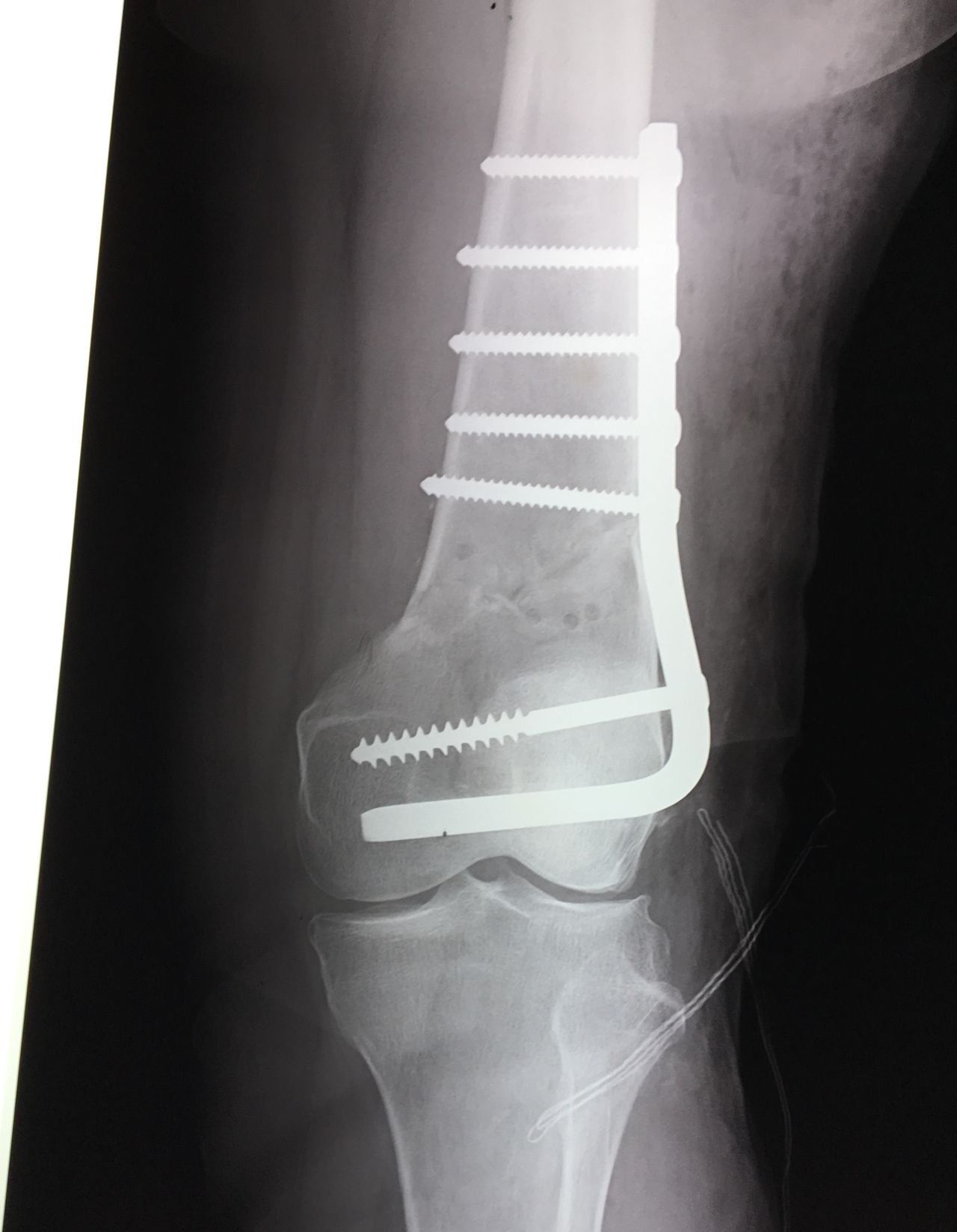 Jorge Zambada Loera-10