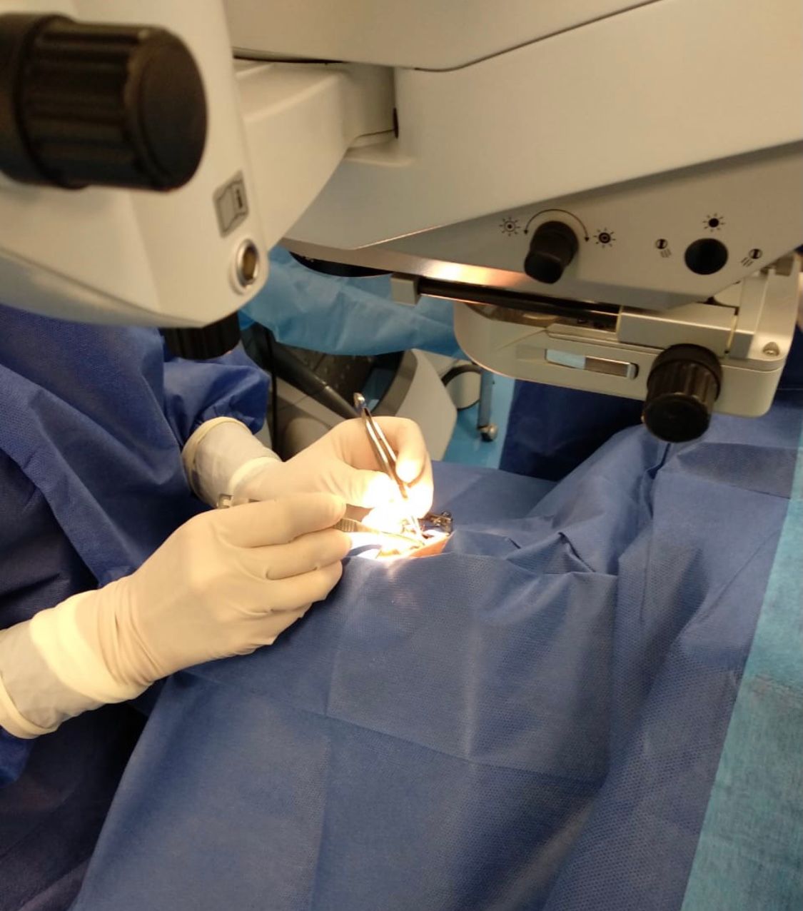 Isela Partida Pulido-8