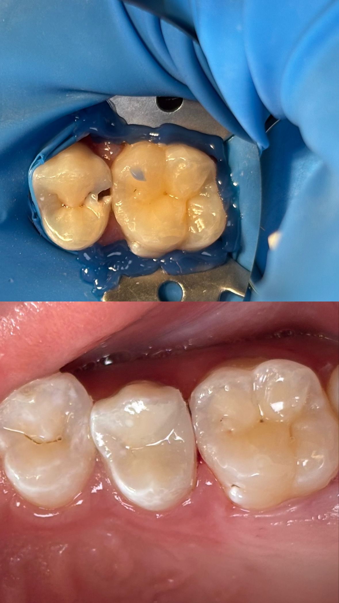 María Paula  Flores Novoa-40