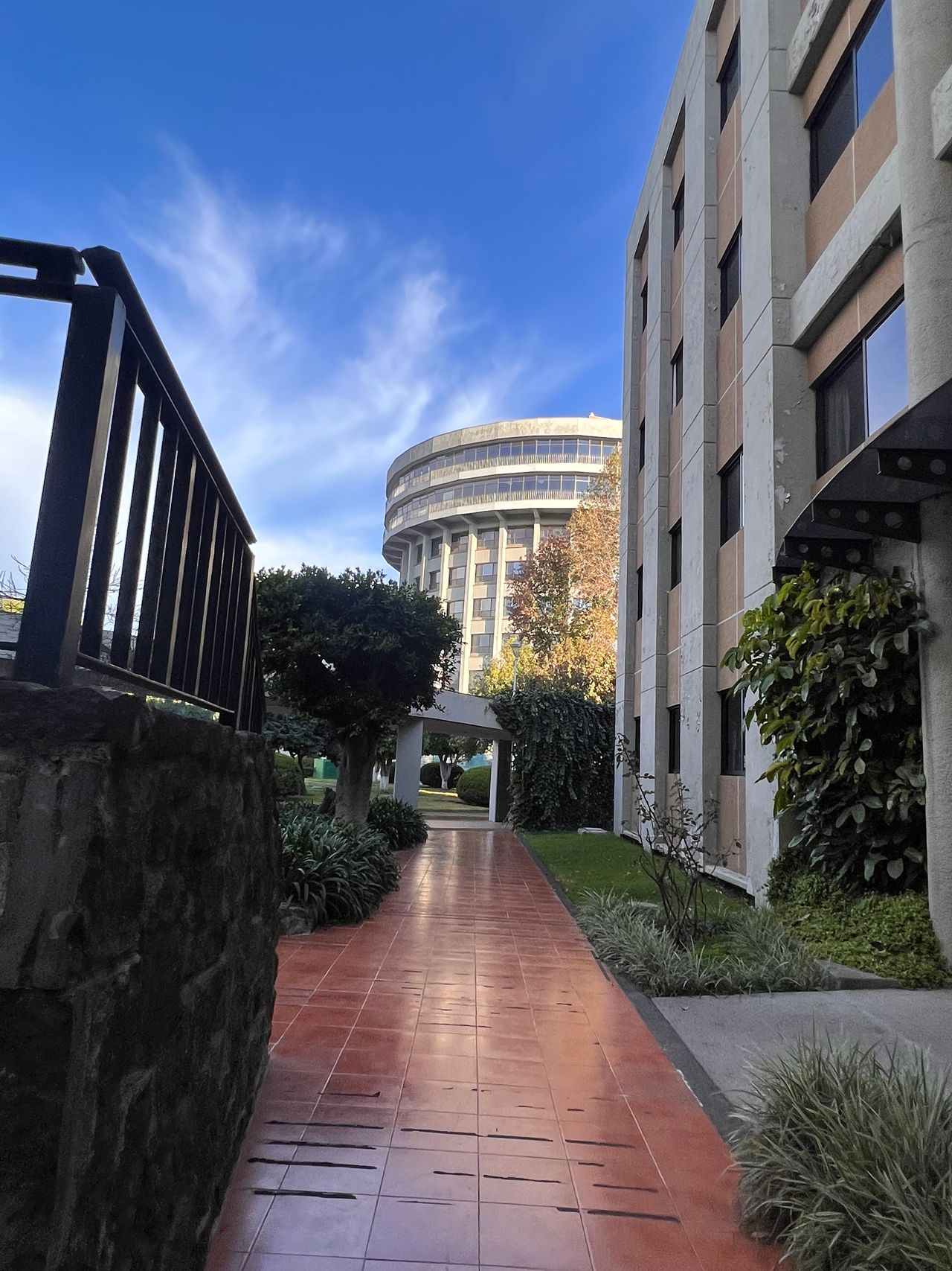 Daniela Lopez Ruelas-4