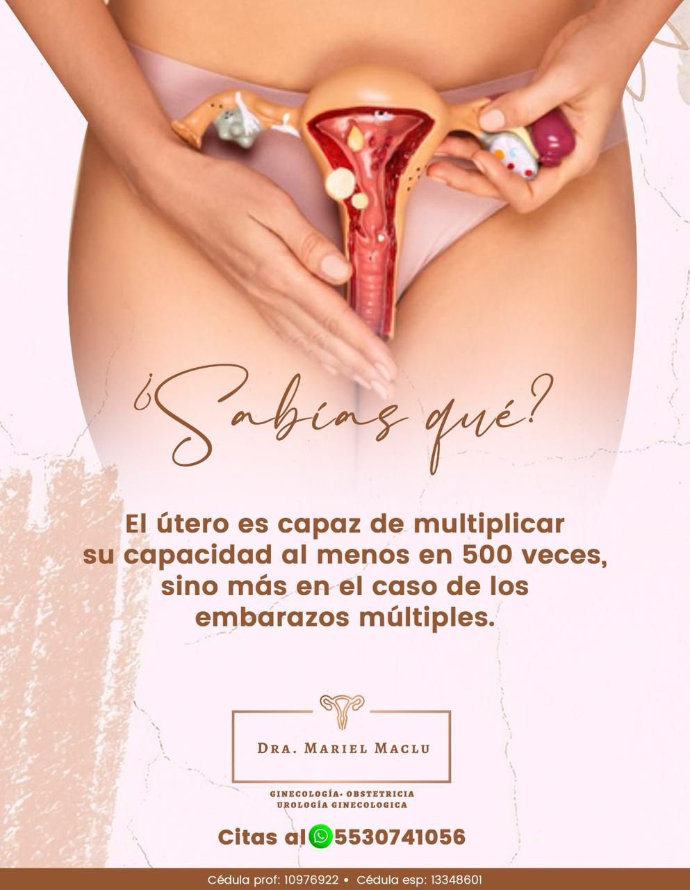 Mariel Maclu Zorrero-10