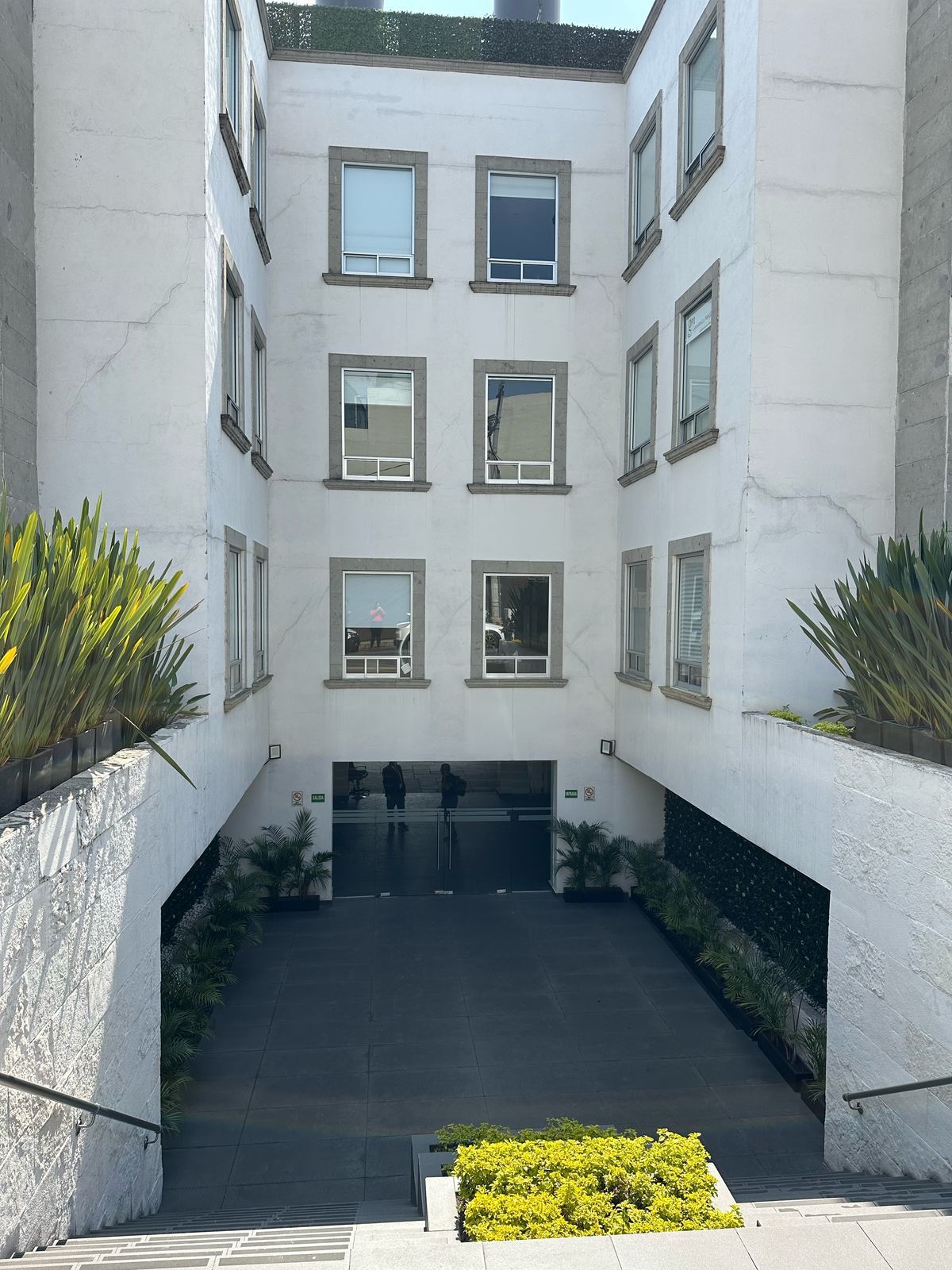 Elia Mireya Solís Villegas-3