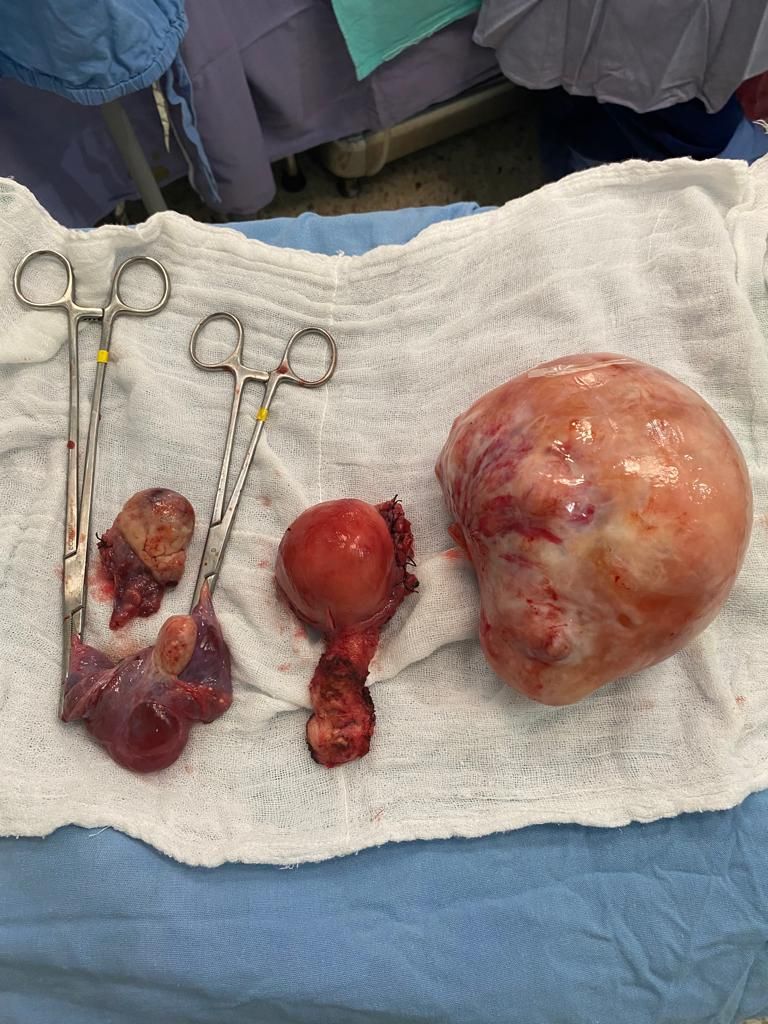 Gabriel Gonzalez Sosa-10