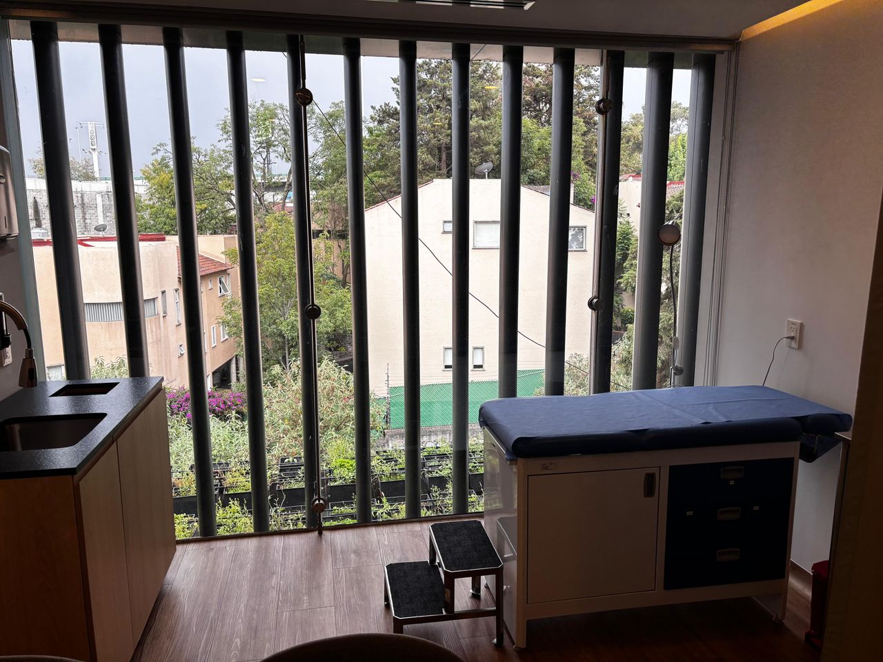 Erik Daniel Alvarez Sores-4