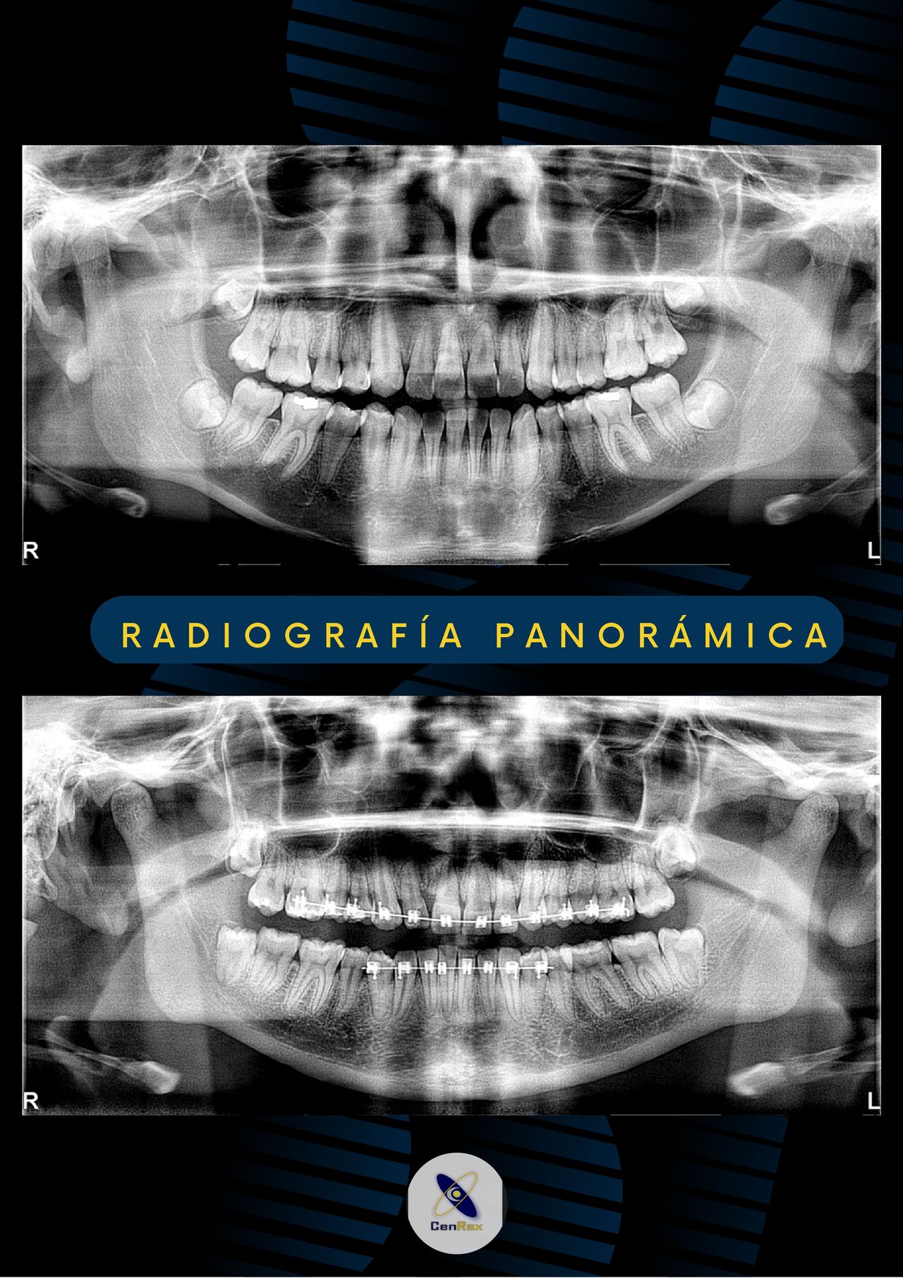 Lizbeth Rodríguez Capetillo-22