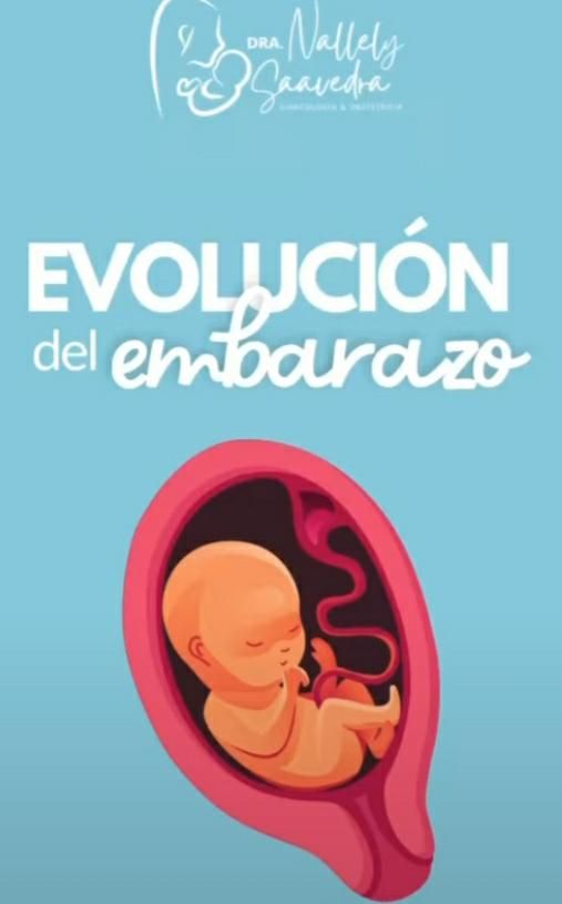 Claudia Nallely Saavedra Valdez-4