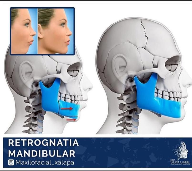 Silvia Uribe Márquez-12