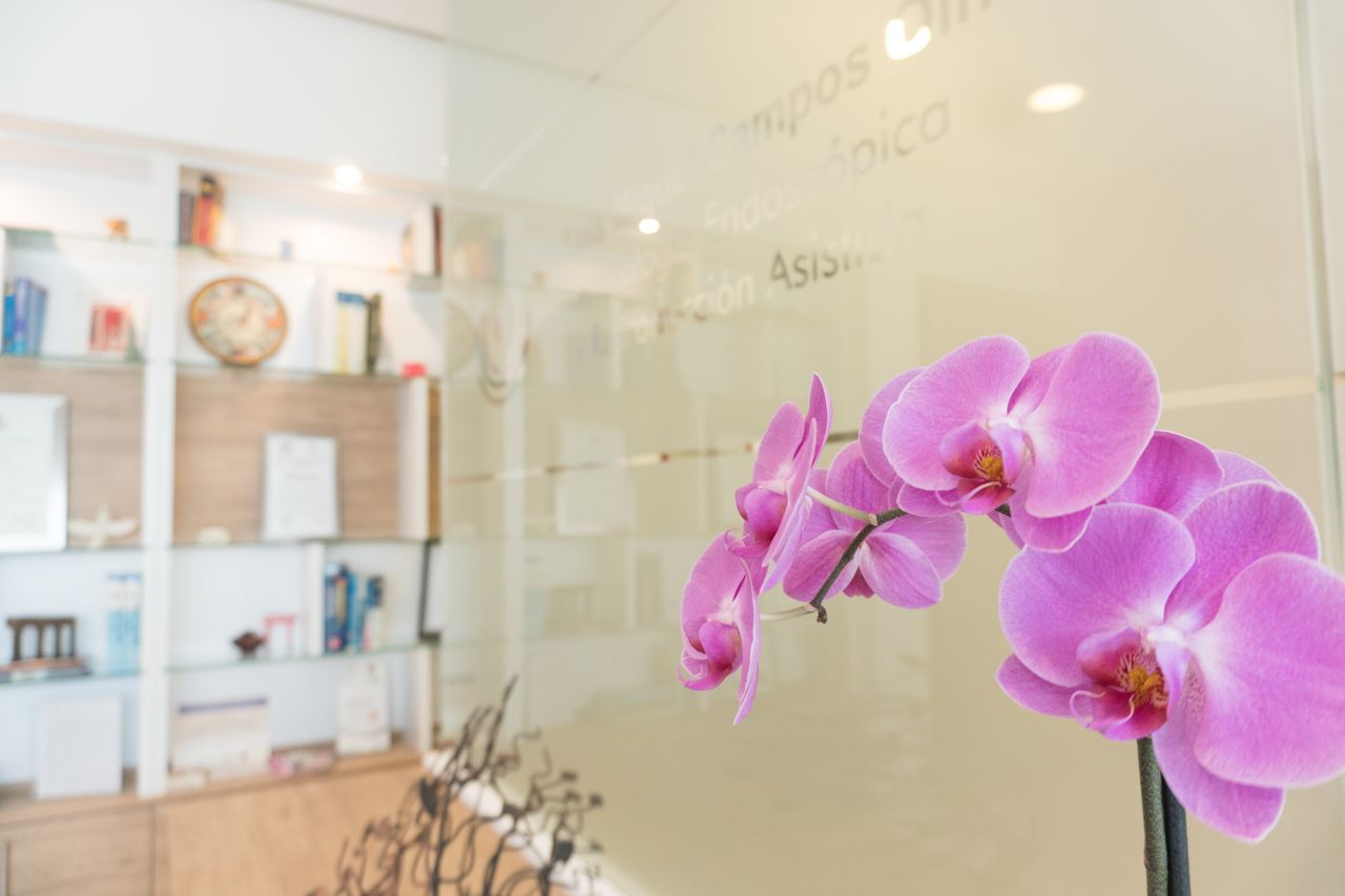 Luis Miguel Campos Olmedo-46