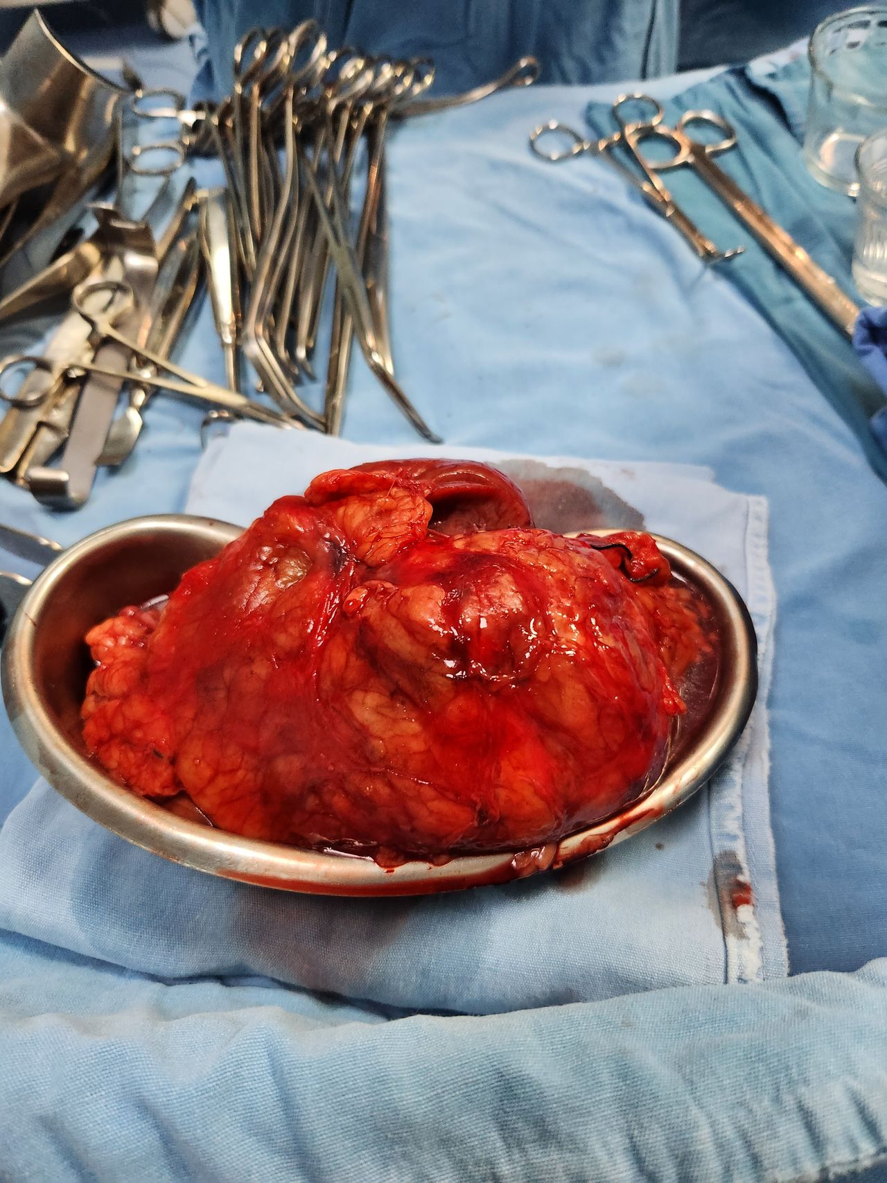 Miguel Angel Rascón Gómez-6