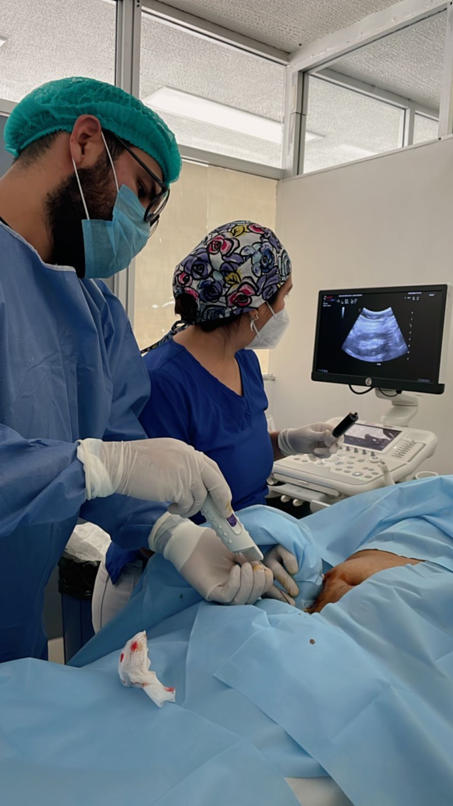 Evangelina Elena Mayorquín Galván-0