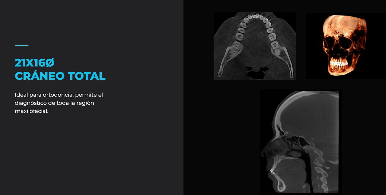 Alfonso Ayala Gómez-4