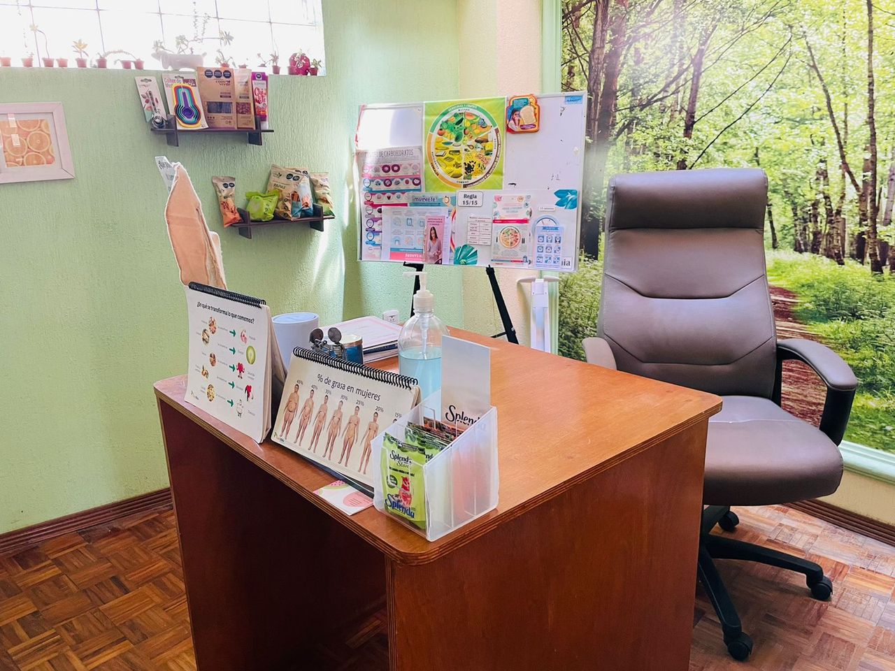 Evelyn Nabile Estrada Dominguez-4