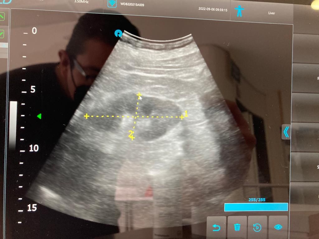 Fabiola Pazos Pérez-1