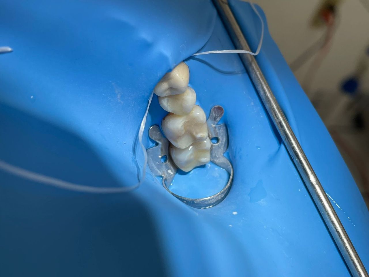 Valeria Muñoz Balboa-1