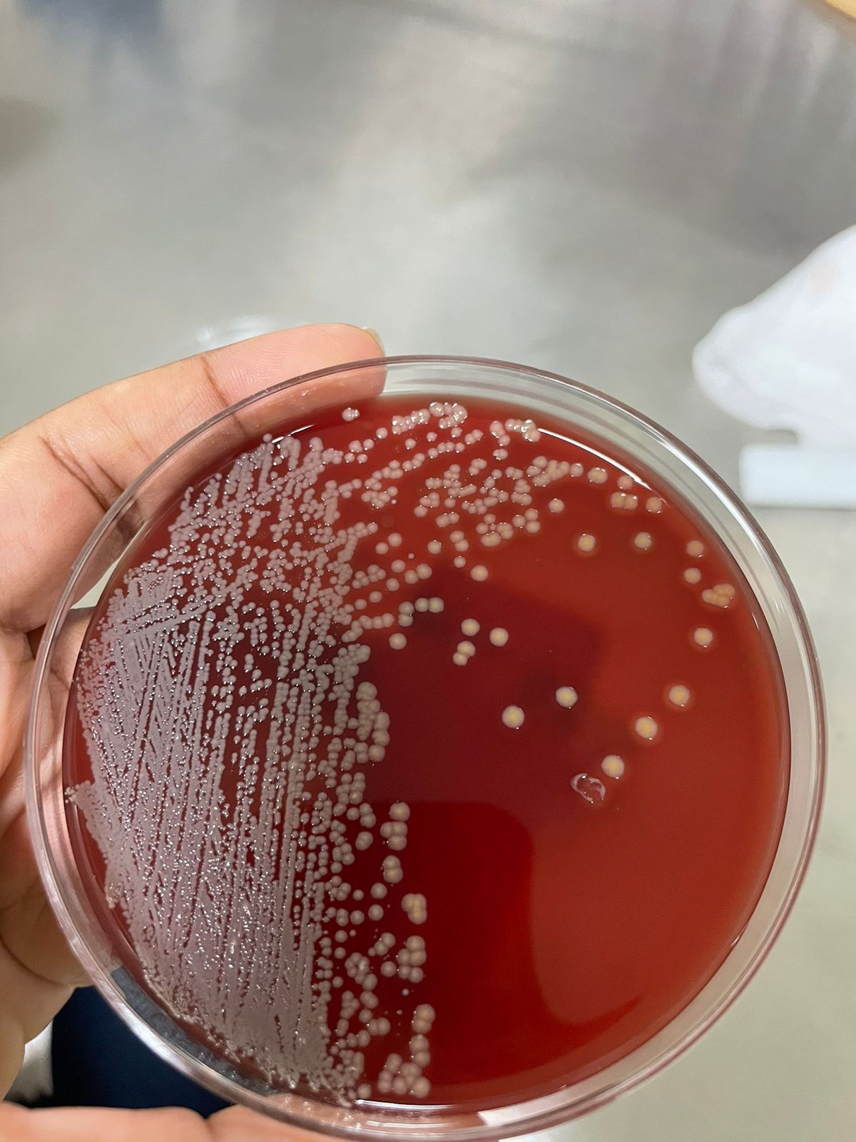 Vanessa Reyes Peña-2