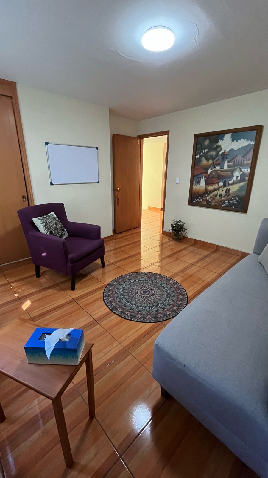 Luis Fernando Velázquez Martínez-1