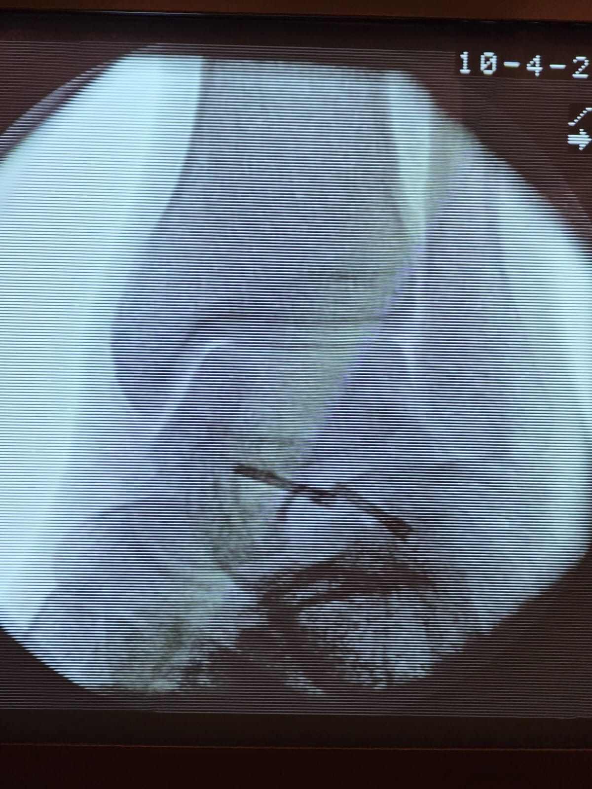 Rafael Adolfo Ferreyra Martinez-4