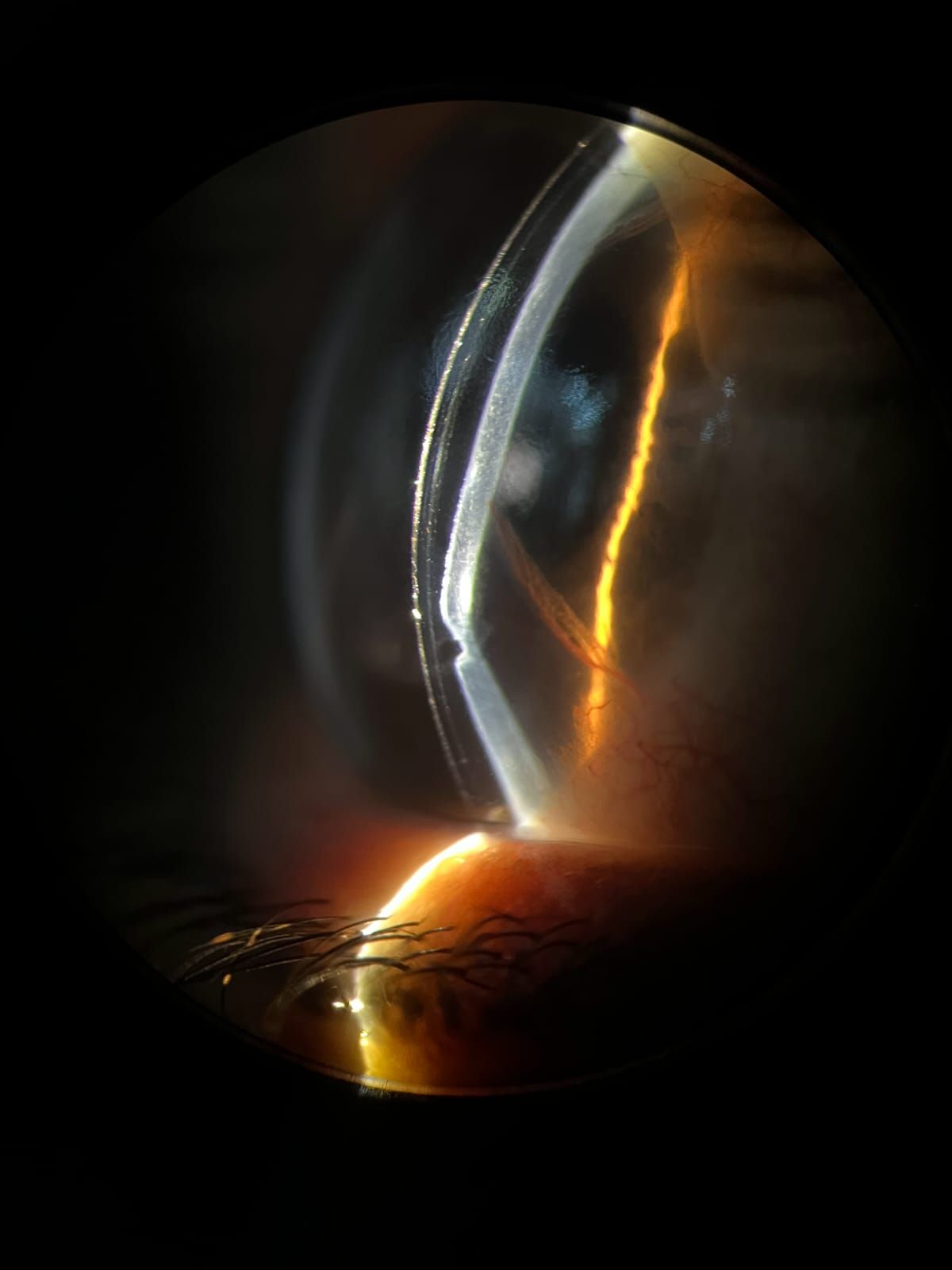 Omar Flores Cárdenas-12